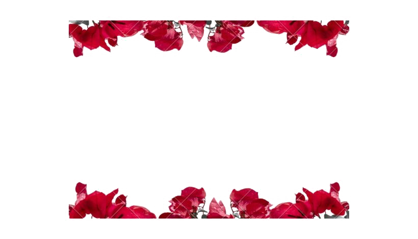 Maroon Frame Background Png (lavender, white)