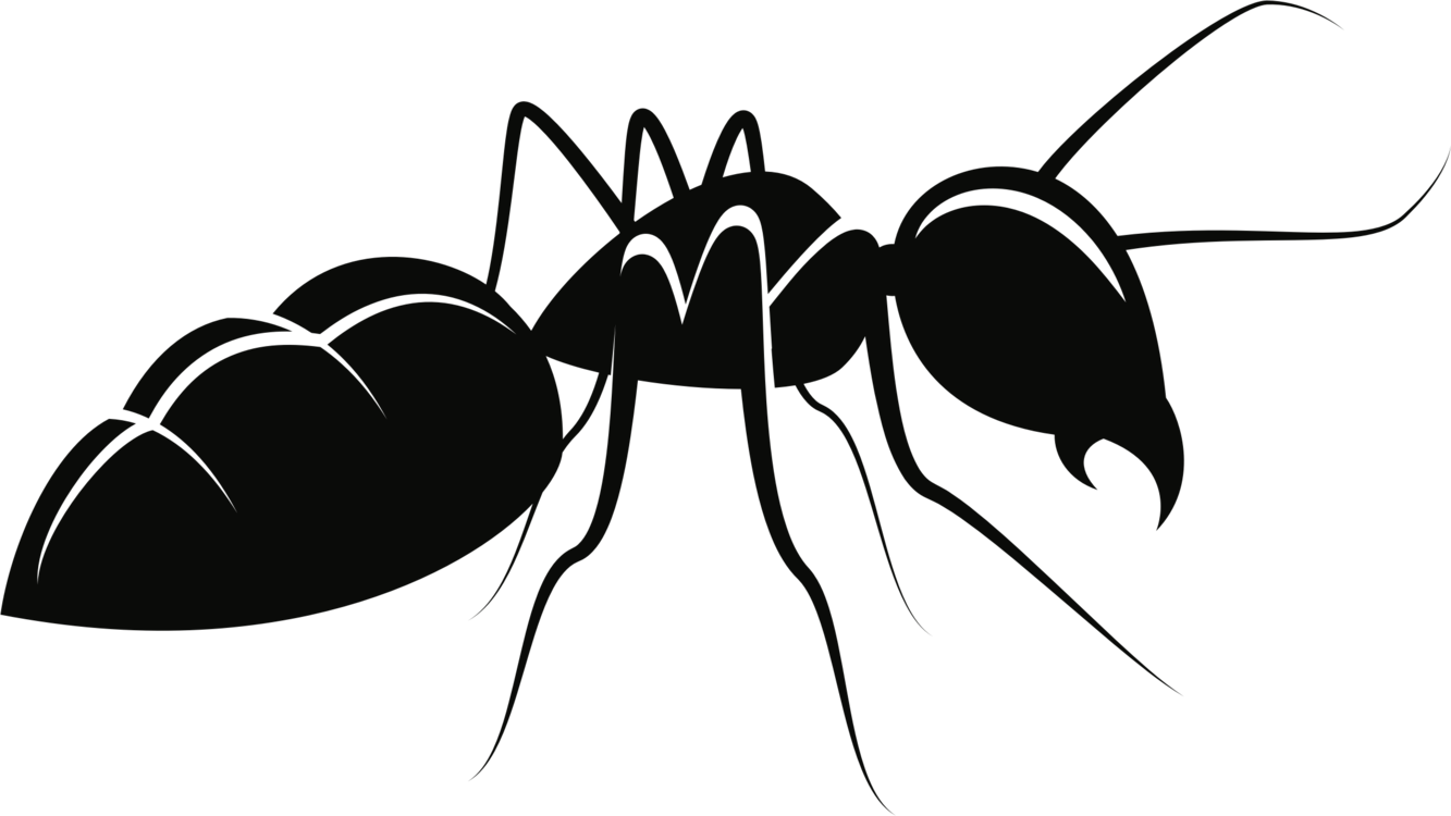 Carpenter Ant Png Clipart (black)