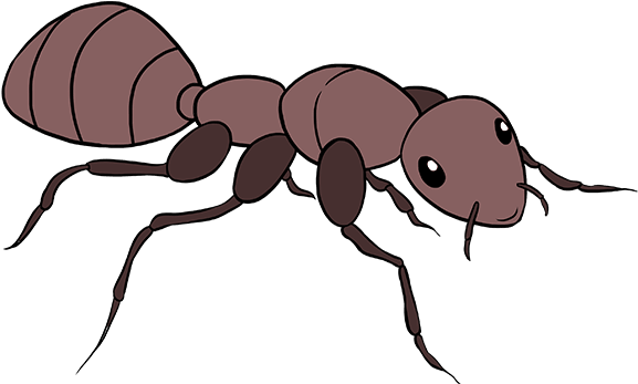 Carpenter Ant Png Isolated File (black, gray, maroon)