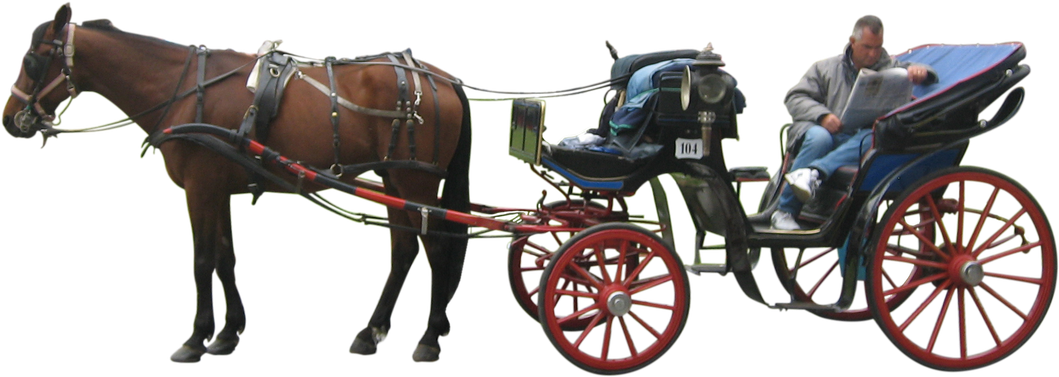 Carriage Transport (black)