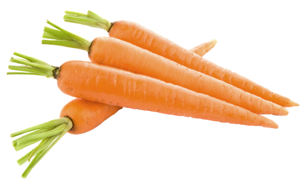 Carrot Slices Png Image (black, chocolate, salmon)