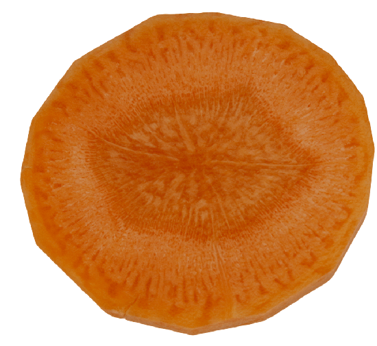 Carrot Slices Png Photos (black, chocolate)