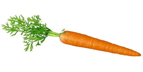 Carrot Transparent Png (gray)