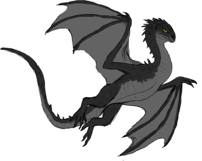 Harry Potter Dragons Dragon Png Isolated Pic (black, gray, white)