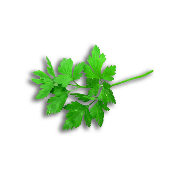 Parsley Png Image (black)