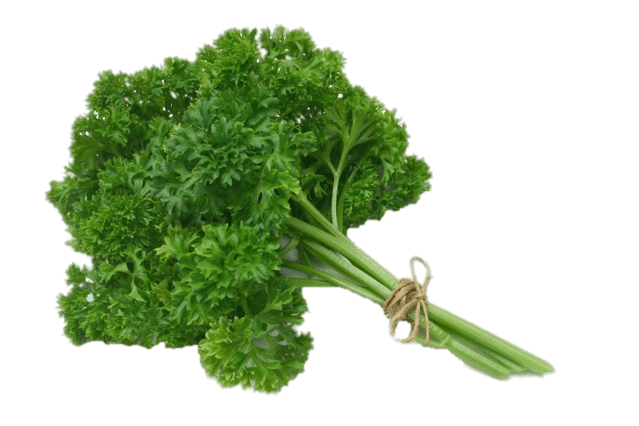 Parsley Png Photos (gray)