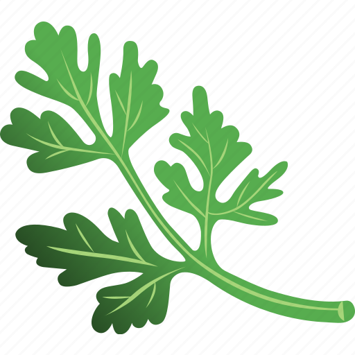 Parsley Png Picture (black, indigo, gray)