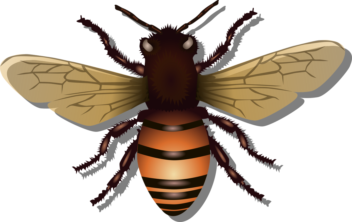 Cartoon Bee Transparent Png (black)