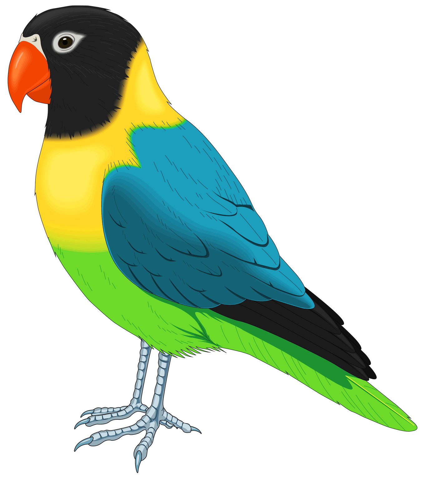 Cartoon Bird Png Hd Isolated (black, olive, yellow, teal)