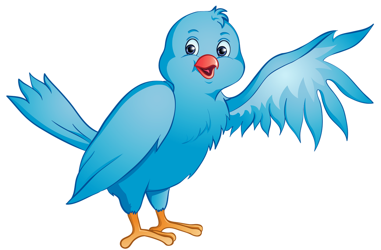 Cartoon Bird Png Isolated File (black, teal, silver)