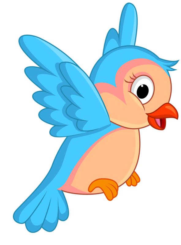 Cartoon Bird Png Photos (black, pink, greenish blue)