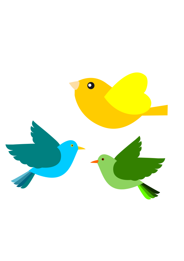 Cartoon Bird Transparent Png (green, yellow, teal, black, gold)