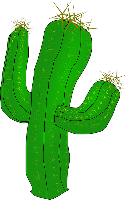 Cartoon Cactus Png Pic (black, green)