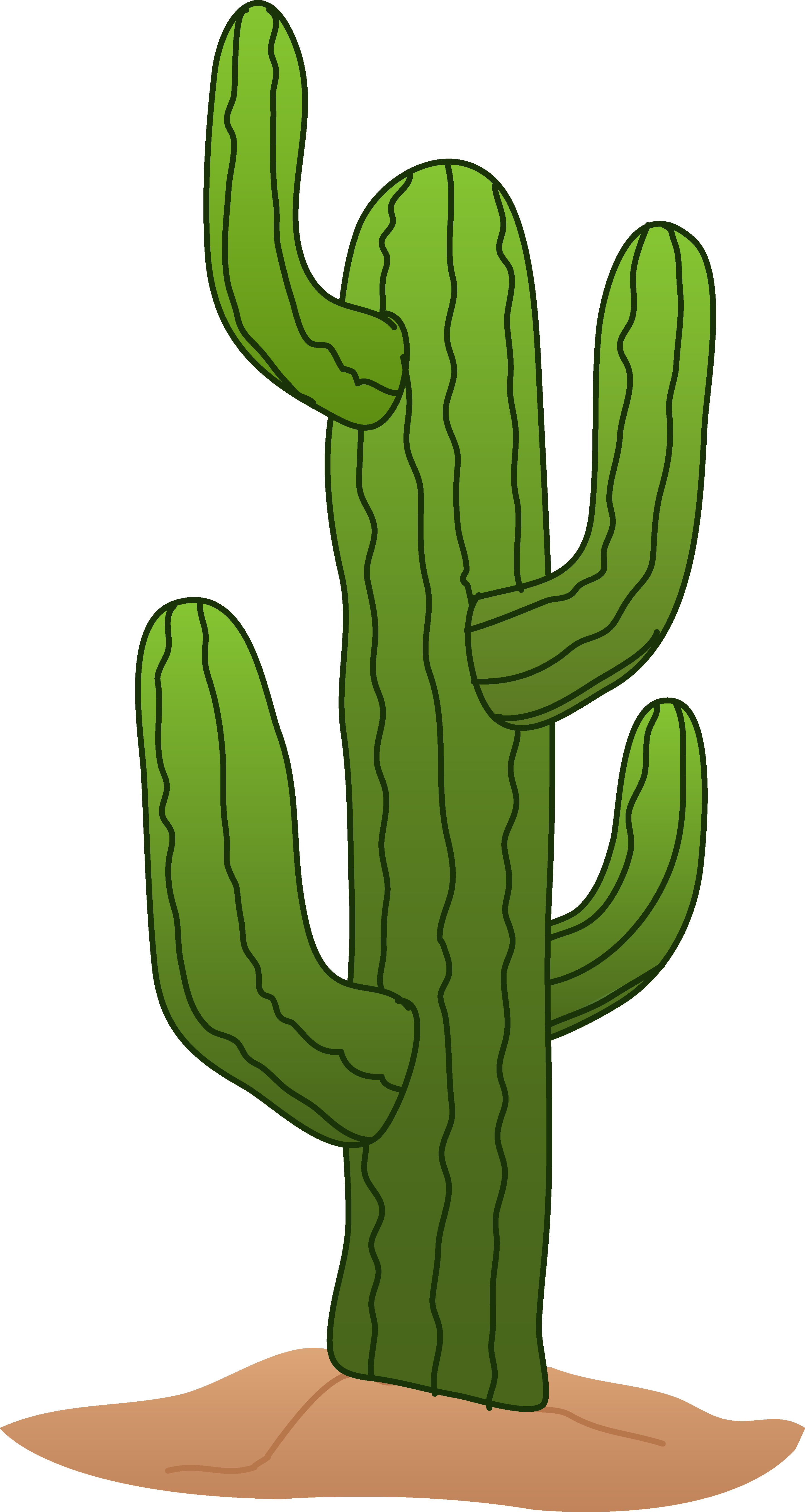 Cartoon Cactus Png (white, olive, green, salmon)