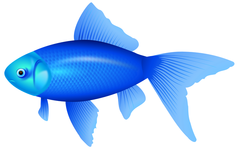 Cartoon Fish Png Hd (black, greenish blue)