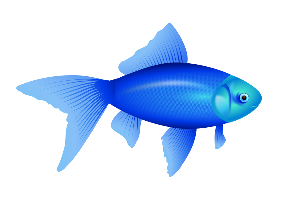 Cartoon Fish Png Transparent (black, teal, greenish blue)