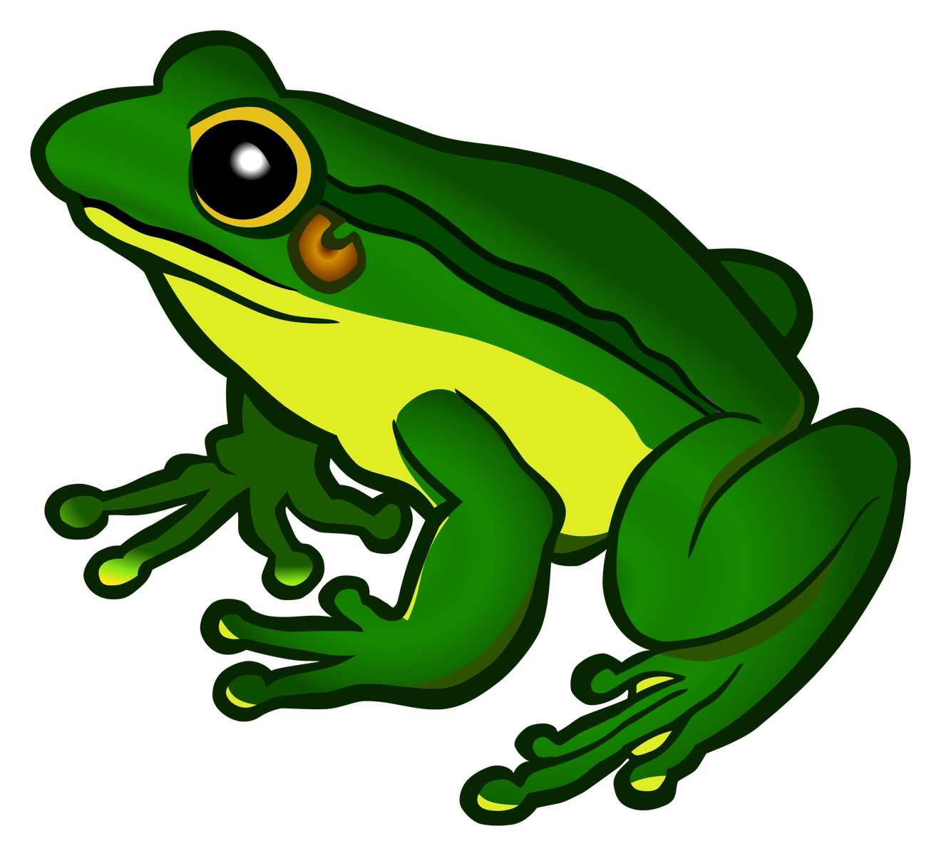 Cartoon Frog Png Transparent (black, yellow, green)