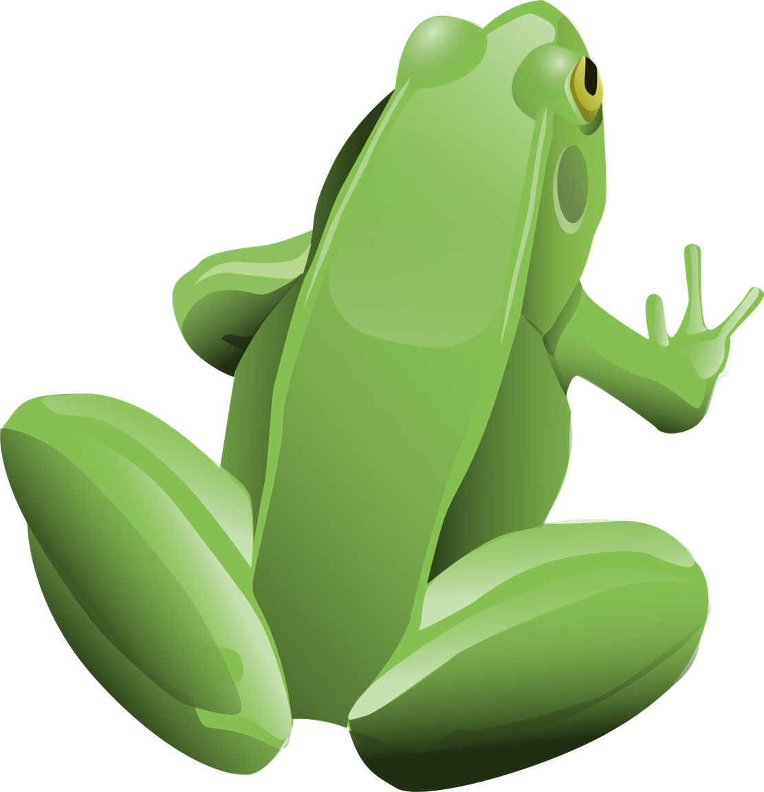 Cartoon Frog Transparent Png (black, gray, olive)