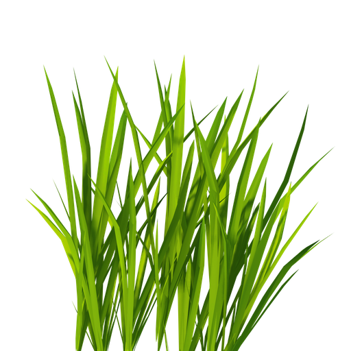 Cartoon Grass Png Hd Isolated (black)