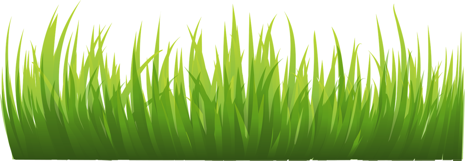 Cartoon Grass Png Hd (black, olive, green)