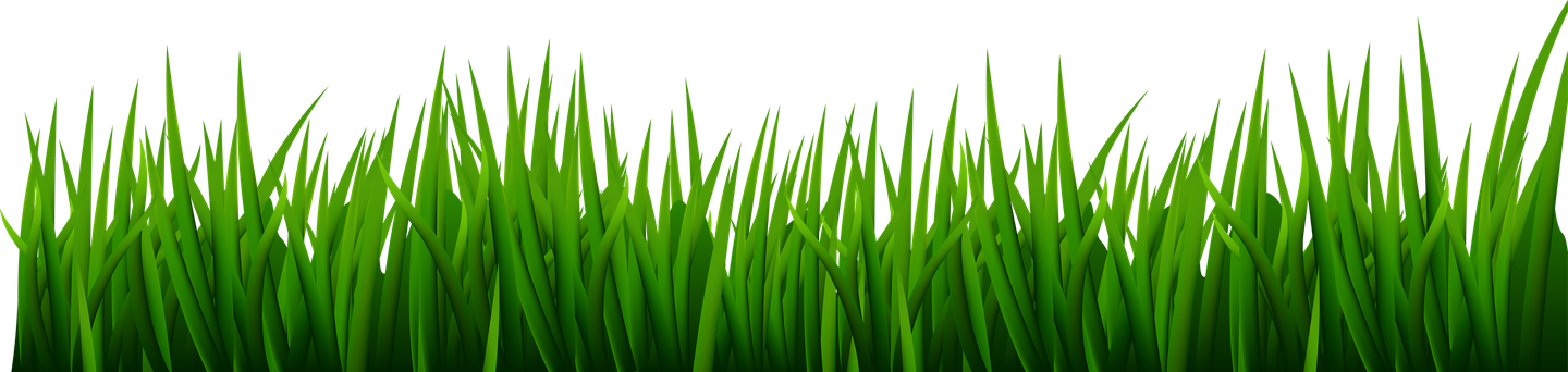 Cartoon Grass Png Image (black, green)