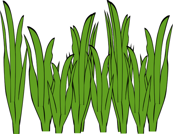 Cartoon Grass Png Isolated File (white, olive)