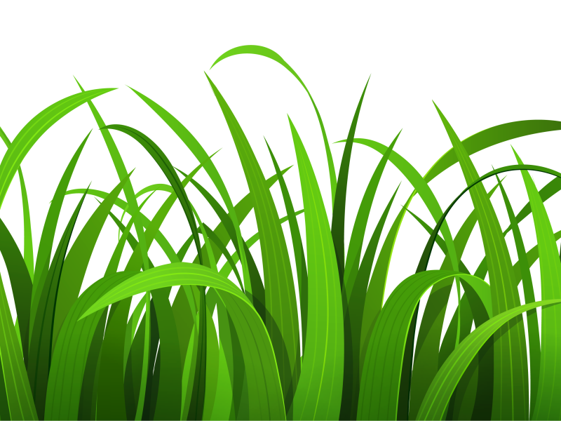 Cartoon Grass Png Isolated Hd (black, olive)