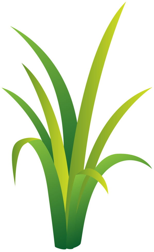 Cartoon Grass Png Photo (black, olive, gold)