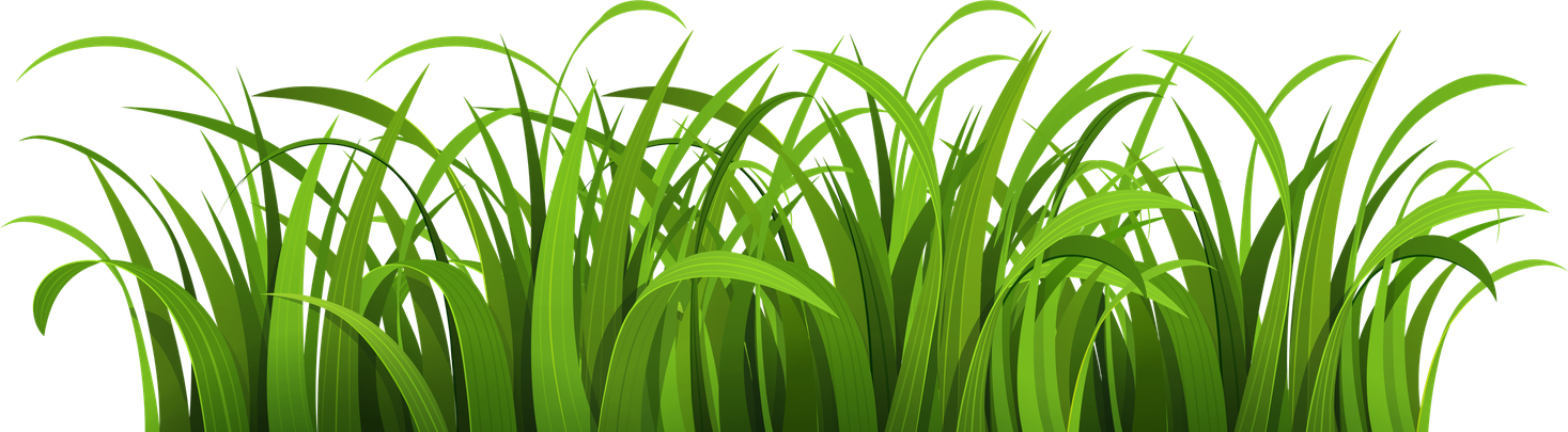 Cartoon Grass Png Picture (black)