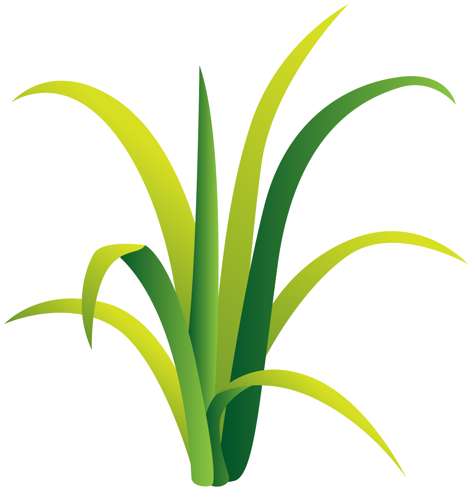 Cartoon Grass Png (black, olive, green, gold)