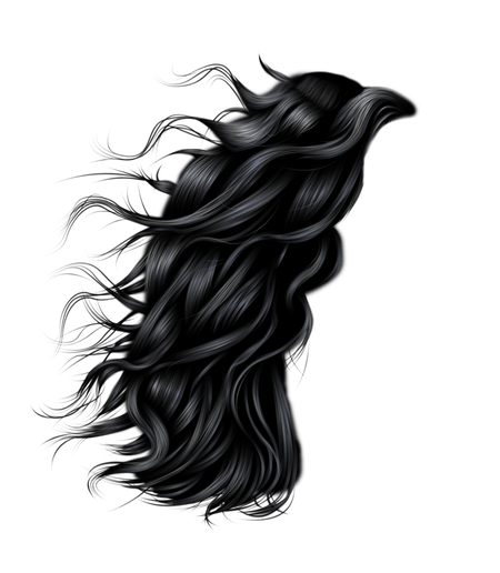 Cartoon Hair Png Isolated Photo (black)