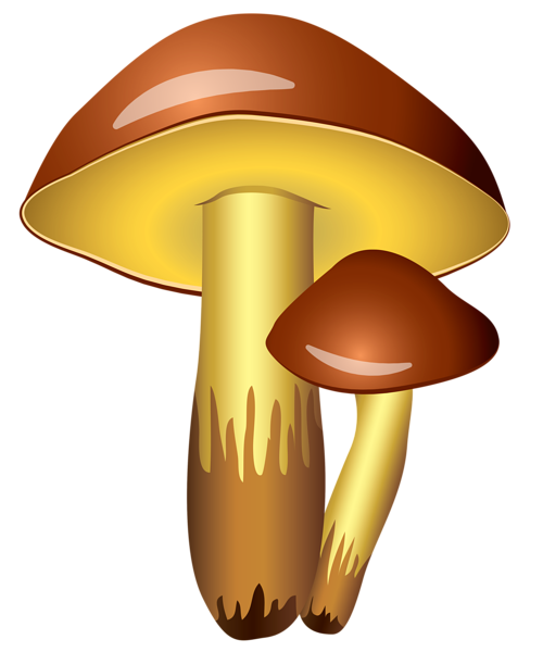 Cartoon Mushroom Png Hd Isolated (maroon, salmon, black, beige, pink)