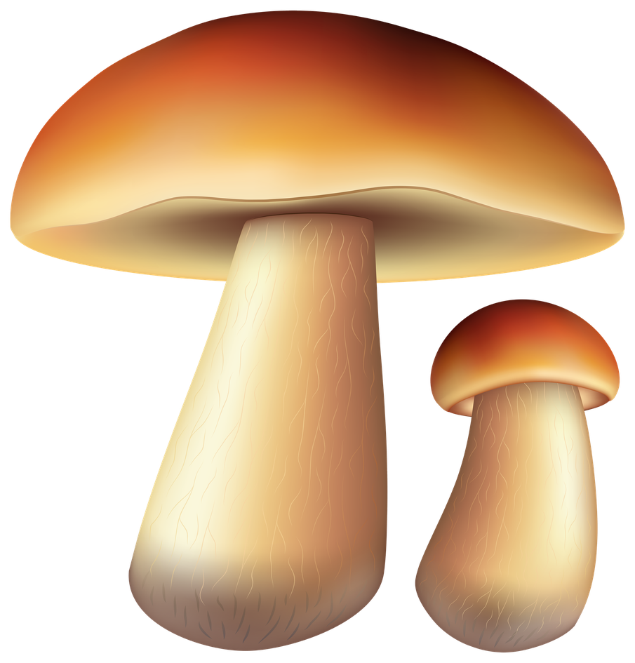 Cartoon Mushroom Png Isolated Photo (black, beige, pink)