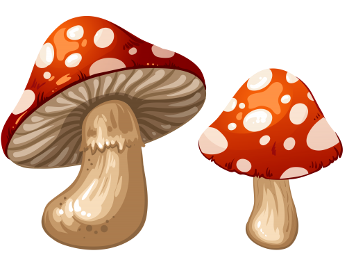 Cartoon Mushroom Transparent Png (black, chocolate, silver, salmon)