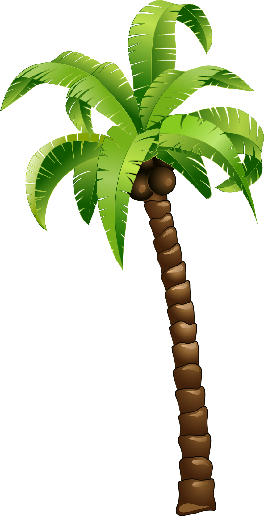 Cartoon Palm Tree Png File (black, olive, maroon, green)