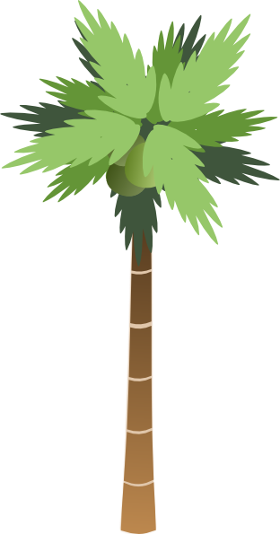 Cartoon Palm Tree Png Hd Isolated (white, gray, olive, green)