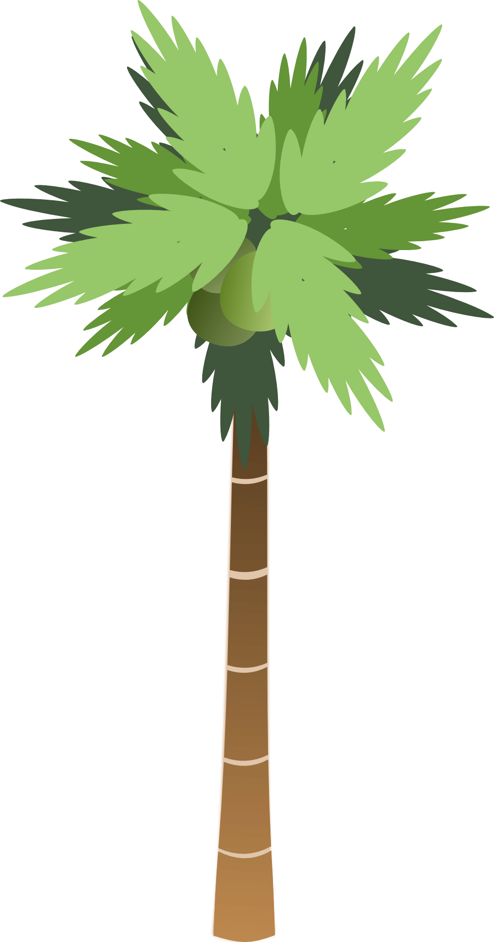 Cartoon Palm Tree Png Hd (black, gray, olive, green)