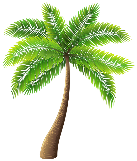 Cartoon Palm Tree Png Pic (black)