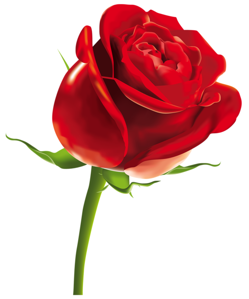 Cartoon Roses Png Isolated Hd (black, red, maroon)