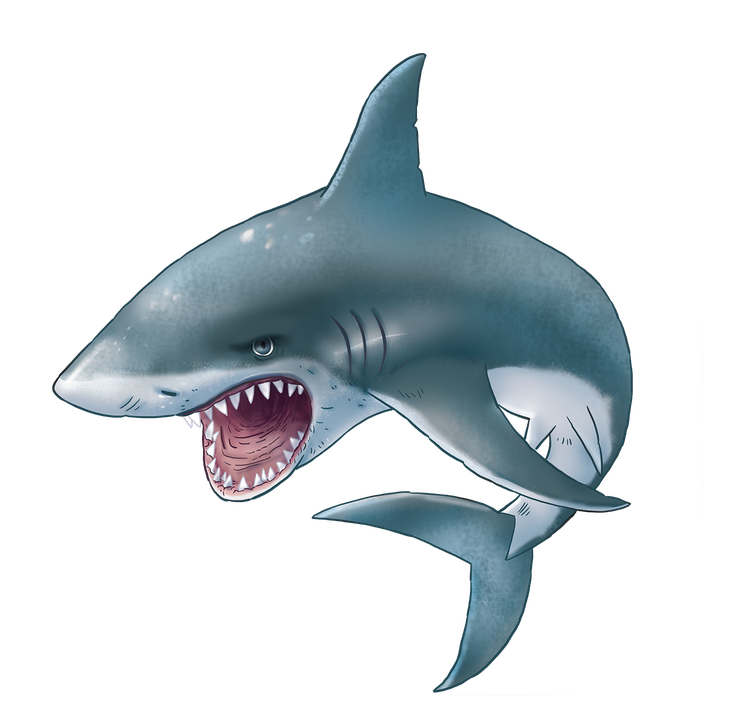 Cartoon Shark Png Hd Isolated (black, gray, teal)