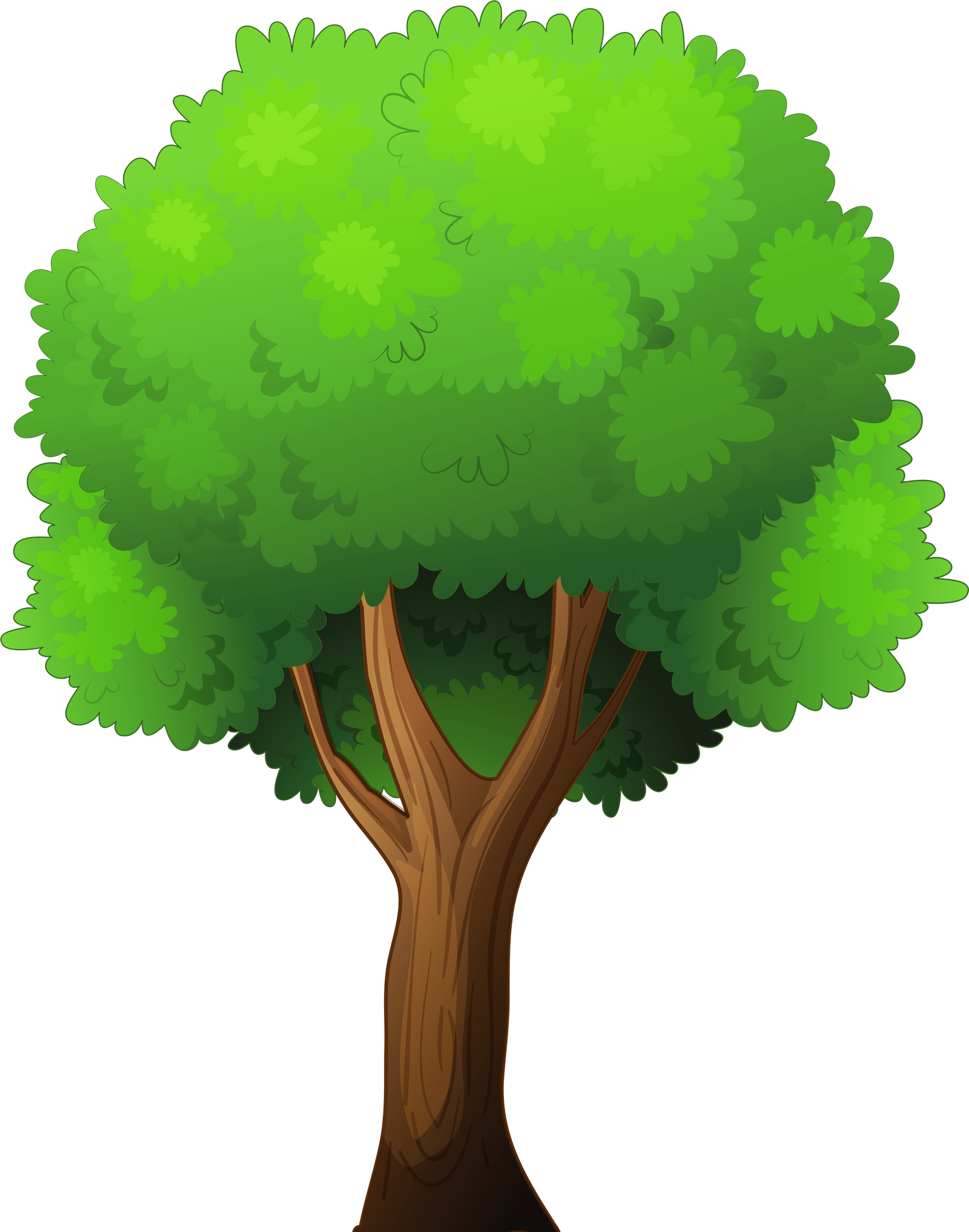 Cartoon Tree Png Isolated Pic (black, olive, green)