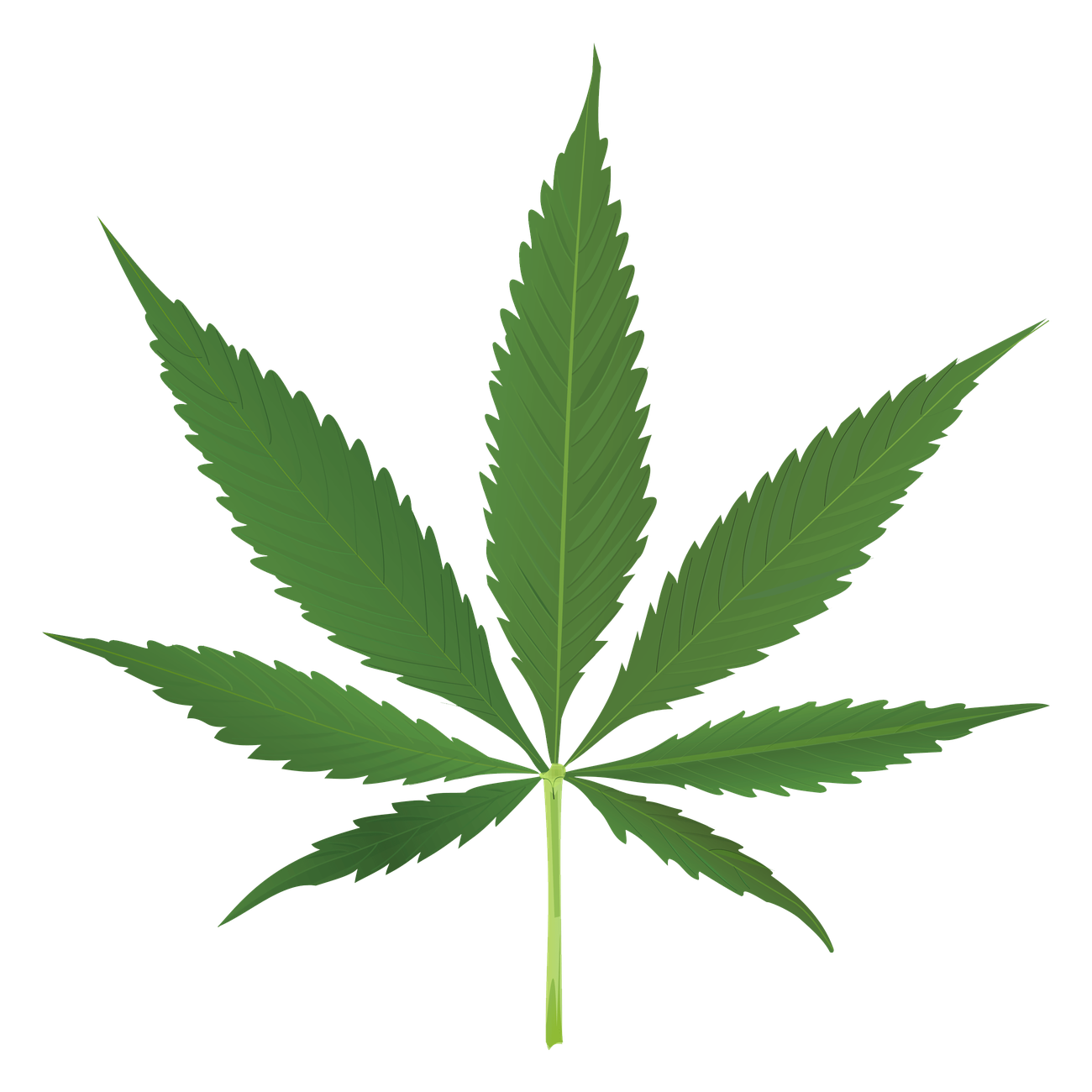 Cartoon Weed Leaf Png Clipart (black, olive)