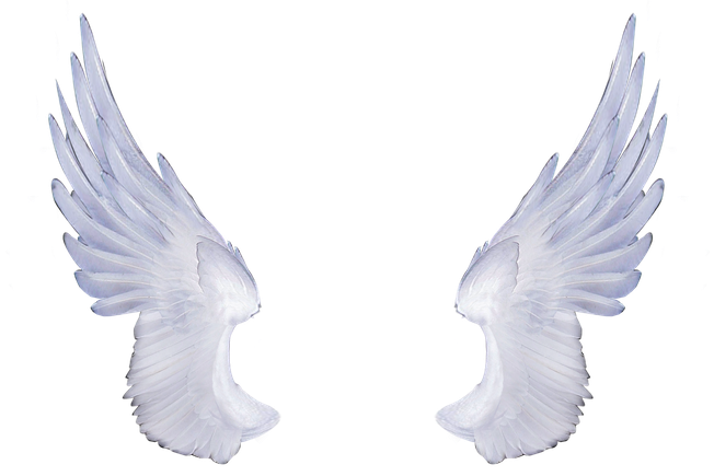 Cartoon Wings Png Isolated Hd (black, silver, lavender)