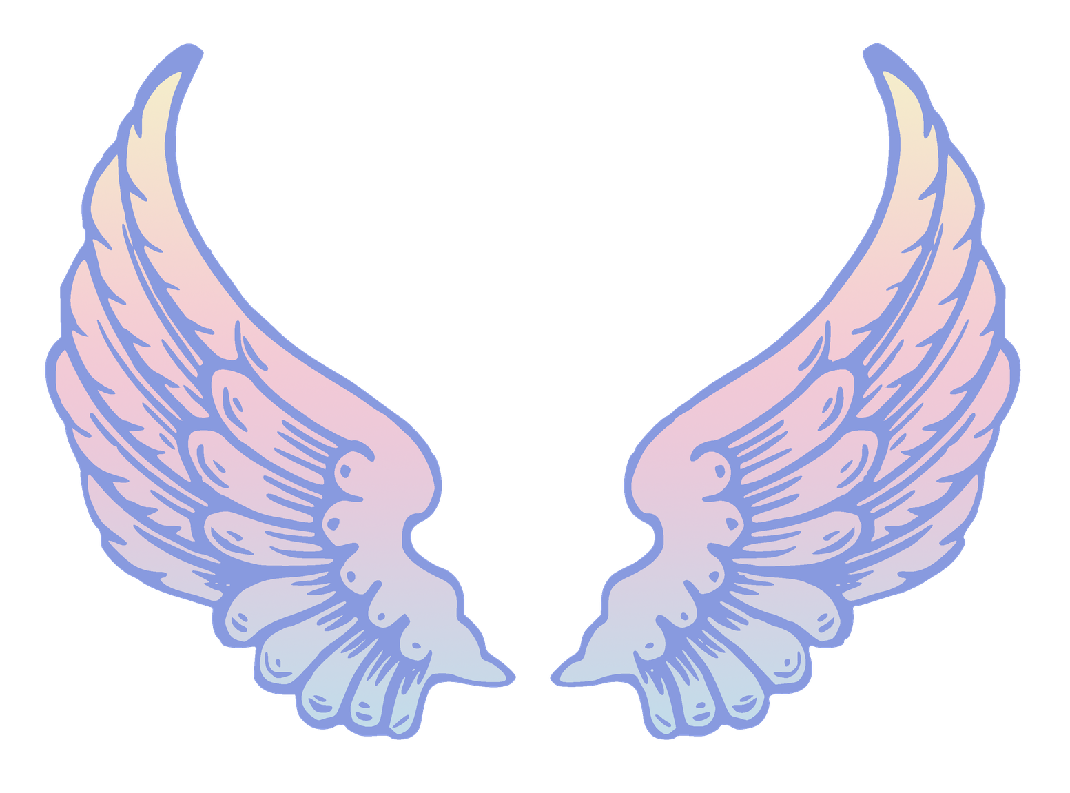 Cartoon Wings Png Isolated Image (black, pink, silver, lavender)