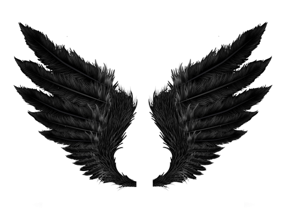 Cartoon Wings Png Isolated Pic (black)