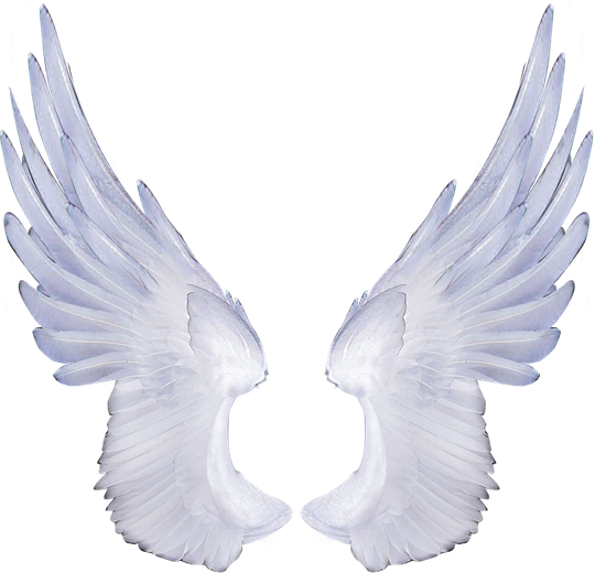 Cartoon Wings Png Photos (black, silver, lavender)