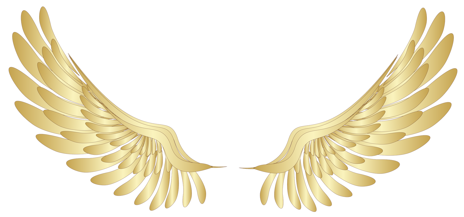 Cartoon Wings Png Picture (black, pink, silver)