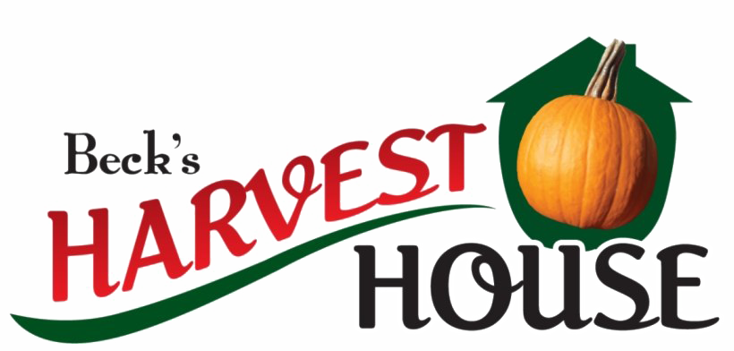 Harvest Festival Png Image (green, white)