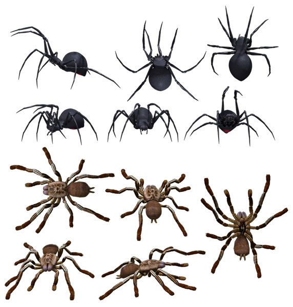 Harvestmen Png Picture (black)