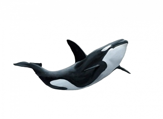 Narwhale Png Clipart (black)